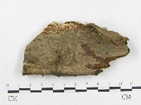 登錄號:F0011345藏品圖，第3張