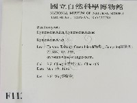 刺革菌屬藏品圖，第2張