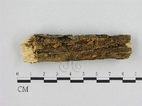 登錄號:F0011353藏品圖，第1張