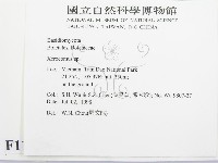 登錄號:F0011356藏品圖，第2張