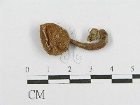 登錄號:F0011356藏品圖，第3張