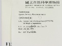 刺革菌屬藏品圖，第2張
