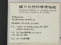 登錄號:F0011366藏品圖，第2張