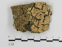 登錄號:F0011367藏品圖，第1張