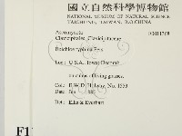登錄號:F0011368藏品圖，第2張