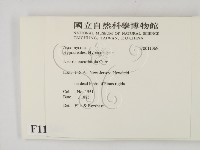 登錄號:F0011369藏品圖，第2張