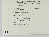 登錄號:F0011370藏品圖，第2張