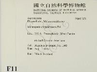 登錄號:F0011371藏品圖，第2張