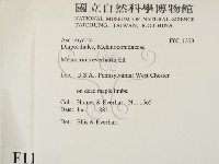 登錄號:F0011373藏品圖，第2張