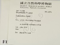 登錄號:F0011374藏品圖，第2張