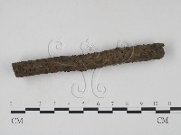 登錄號:F0011374藏品圖，第3張