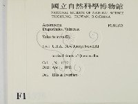 登錄號:F0011375藏品圖，第2張