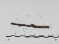 登錄號:F0011375藏品圖，第1張