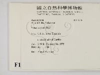 登錄號:F0011376藏品圖，第2張