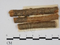 登錄號:F0011376藏品圖，第1張