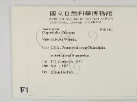 登錄號:F0011377藏品圖，第2張