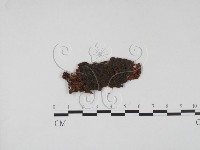 登錄號:F0011377藏品圖，第1張
