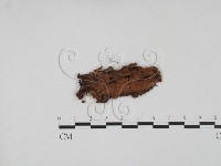 登錄號:F0011377藏品圖，第3張