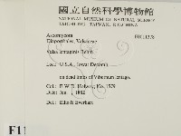 登錄號:F0011378藏品圖，第2張