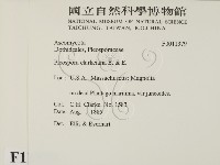 登錄號:F0011379藏品圖，第2張