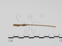 登錄號:F0011379藏品圖，第1張