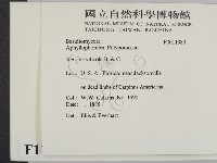 登錄號:F0011380藏品圖，第2張