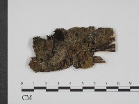 登錄號:F0011380藏品圖，第1張