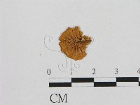 登錄號:F0011381藏品圖，第1張