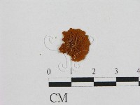 登錄號:F0011381藏品圖，第3張