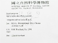 登錄號:F0011383藏品圖，第2張