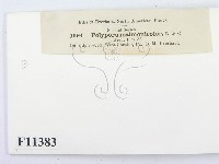 登錄號:F0011383藏品圖，第3張