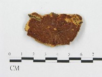 登錄號:F0011383藏品圖，第1張