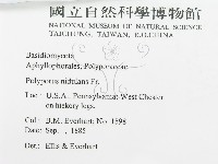 登錄號:F0011384藏品圖，第2張