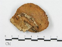 登錄號:F0011384藏品圖，第4張