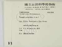 登錄號:F0011385藏品圖，第2張