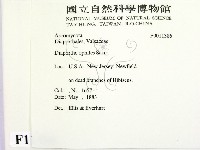 登錄號:F0011386藏品圖，第2張