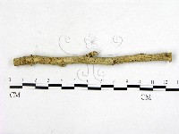 登錄號:F0011386藏品圖，第1張