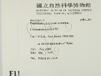 登錄號:F0011387藏品圖，第2張