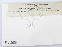 登錄號:F0011388藏品圖，第3張