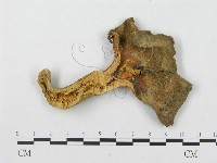 登錄號:F0011388藏品圖，第4張