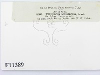 登錄號:F0011389藏品圖，第3張