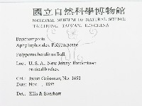 登錄號:F0011390藏品圖，第2張