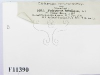 登錄號:F0011390藏品圖，第3張