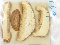 登錄號:F0011390藏品圖，第1張