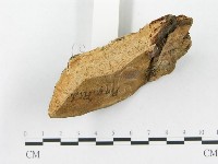 登錄號:F0011391藏品圖，第5張