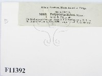 登錄號:F0011392藏品圖，第3張