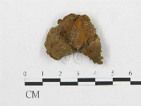 登錄號:F0011392藏品圖，第1張