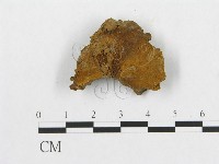 登錄號:F0011392藏品圖，第4張