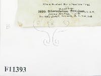 登錄號:F0011393藏品圖，第2張