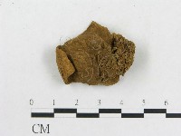 登錄號:F0011393藏品圖，第1張